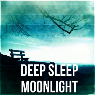 Deep Sleep Moonlight - Ultimate Bedtime Relaxation, Restful Sleep Relieving Insomnia, Ambient Waterfall Sounds by Silent Night Music Academy