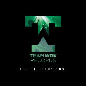 Teamwrk Pop - Best Of 2022 by Unknown Artist