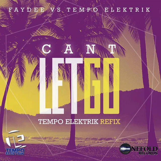 Can't Let Go (Faydee Vs Tempo Elektrik) - Radio Edit