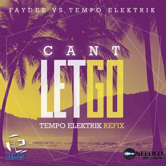 Can't Let Go (Faydee Vs. Tempo Elektrik) by Tempo Elektrik