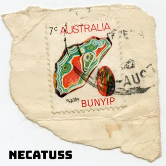 Bunyip by Necatuss