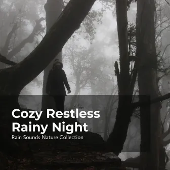 Cozy Restless Rainy Night by Sleepy Rain