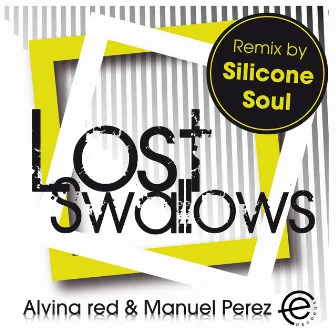 Lost Swallows EP by Manuel Perez