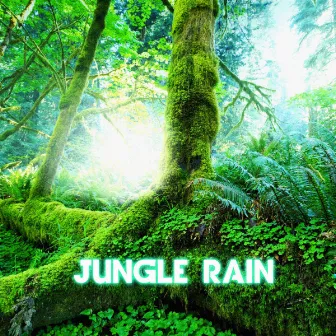 Jungle Rain by Rain Power