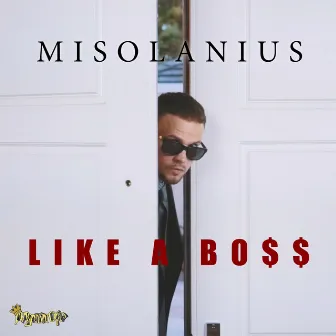 Like a Boss by Misolanius