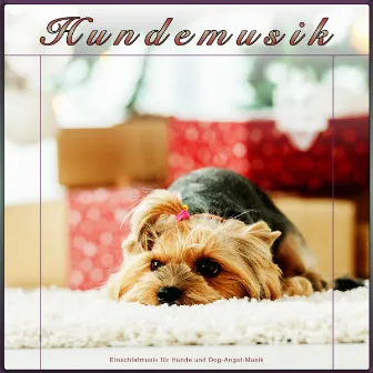 Hundemusik: Einschlafmusik für Hunde und Dog-Angst-Musik by Schlafende Musik für Hunde