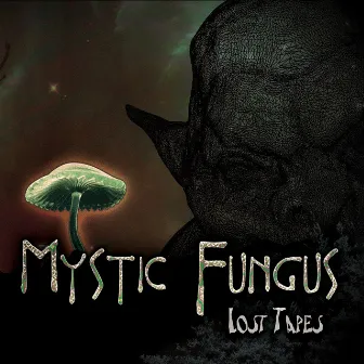 Lost Tapes by Mystic Fungus