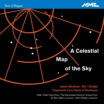 Tarik O'Regan: A Celestial Map of the Sky by Tarik O'Regan