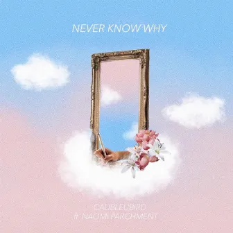 Never Know Why by Calibleubird