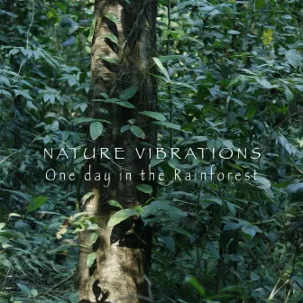 One day in the Rainforest by Nature Vibrations