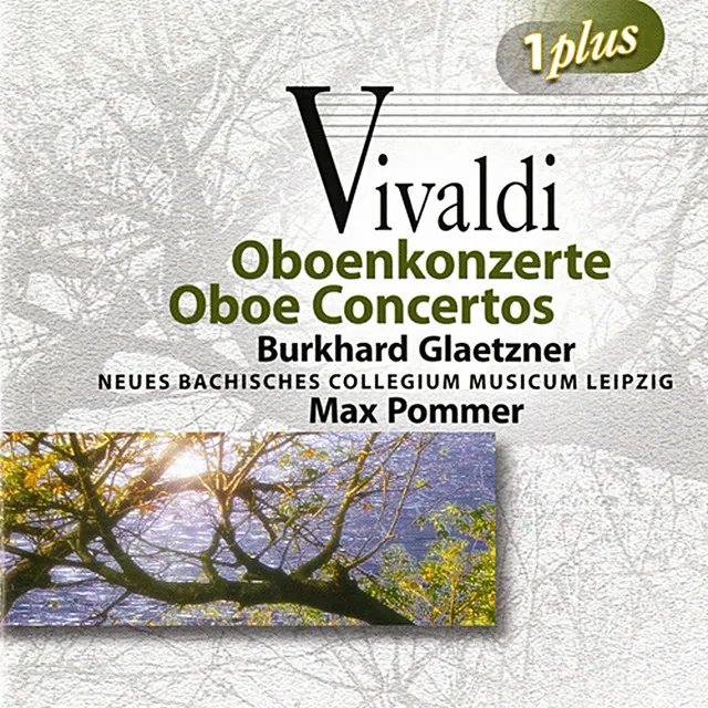 Oboe Concerto in D Minor, Op. 8 No. 9, RV 454: II. Largo