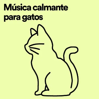 Música calmante para gatos by Musicoterapia de Lluvia