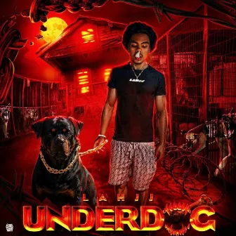 UNDERDOG by lahjj