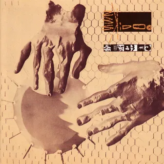 Seven Songs by 23 Skidoo