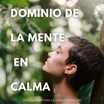 Dominio De La Mente En Calma: Meditación Para La Concentración by Alba Criado