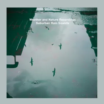 Suburban Rain Sounds by Weather and Nature Recordings