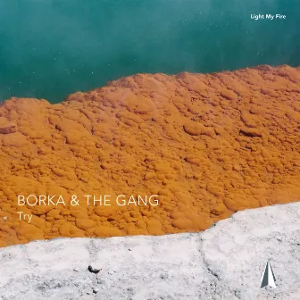 Try by Borka & The Gang