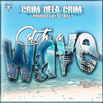 Catch a Wave by Crim Dela Crim