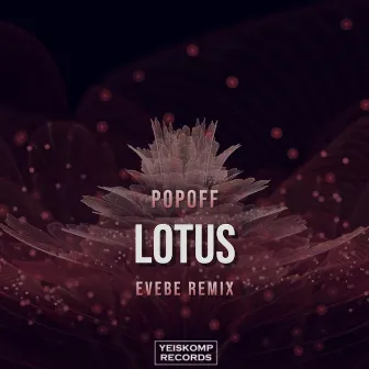 Lotus (Evebe Remix) by Popoff