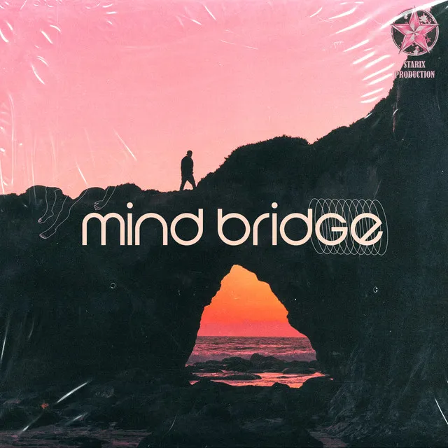 Mind Bridge