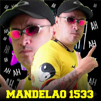 Mandelão do 1533 by MC Dinho Da VP