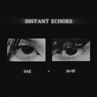 DISTANT ECHOES by AREA 1-15