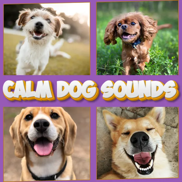 Deeply Relaxing Sounds For Dogs