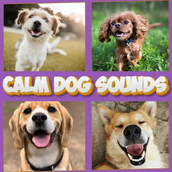 Deeply Relaxing Sounds For Dogs by Calm Dog Sounds