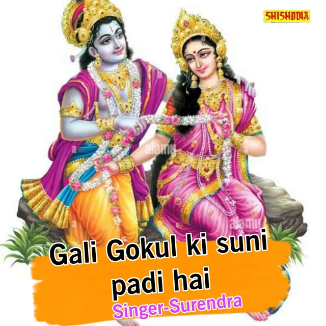 Gali Gokul Ki Suni Padi Hai