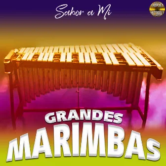 Sabor A Mi by Grandes Marimbas