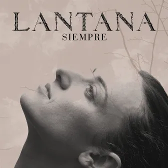 Siempre (Hotel Persona Remix) by Lantana