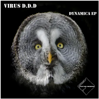 Dynamica EP by Virus D.D.D