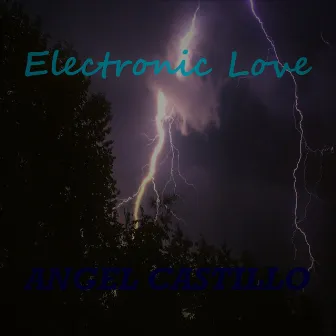 Electronic Love by Angel Castillo