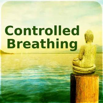 Controlled Breathing – Calm Nature Sounds to Relieve Stress, Music for Mindfulness Meditation & Relaxation, Hindu Yoga, Instrumental Music by Spiritual Healing Island