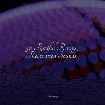 50 Restful Rainy Relaxation Sounds by Rain Sounds ACE