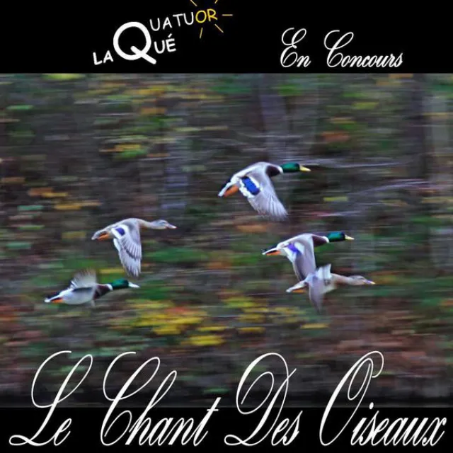 Le chant des oiseaux (En concours)