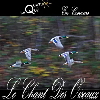 Le chant des oiseaux (En concours) by Quatuor Laqué