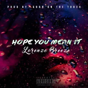 Hope You Mean It by Lorenzo Breeze