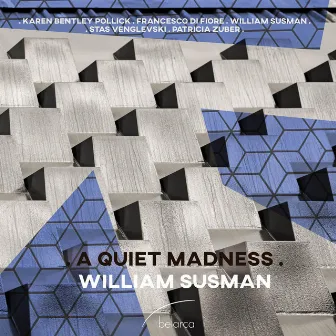 A Quiet Madness by Patricia Zuber