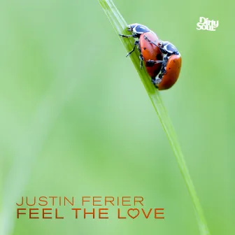 Feel The Love by Justin Ferier