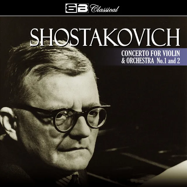 Concerto for Violin and Orchestra No.1, Op. 99: II. Allegro