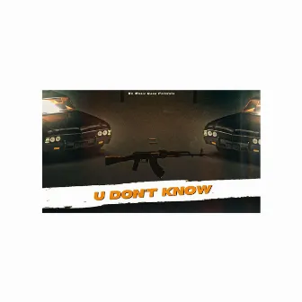 U DON'T KNOW by Ashi Bawana