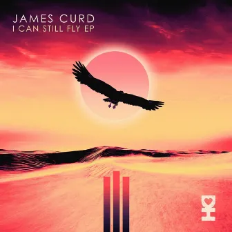 I Can Still Fly by James Curd