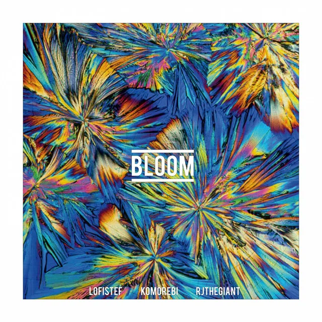 Bloom