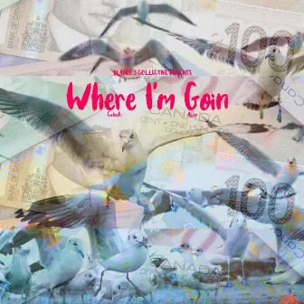 Where I'm Goin by Cxlvelli