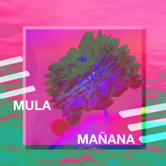 Mañana by Mula