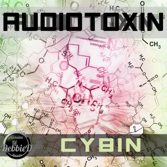 Cybin by Audiotoxin