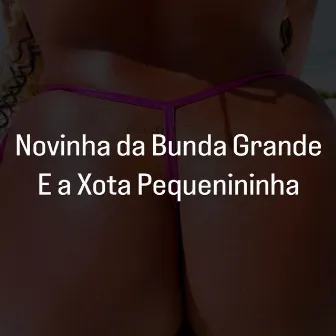 Novinha da Bunda Grande e a Xota Pequenininha (Remix) by DJ WM DA PENHA