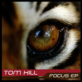 Focus by Tom Hill