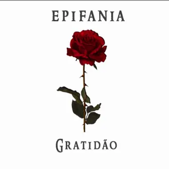 Gratidão by Epifania